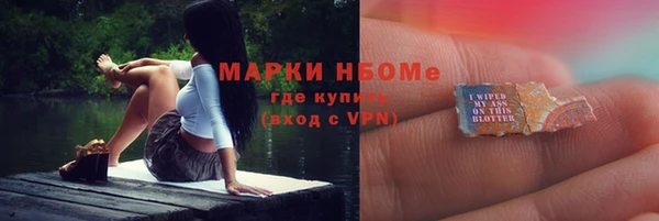 стаф Алексин