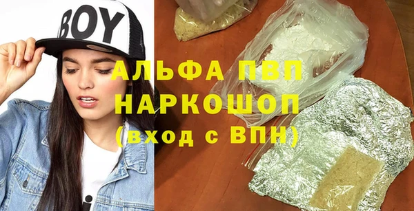 стаф Алексин